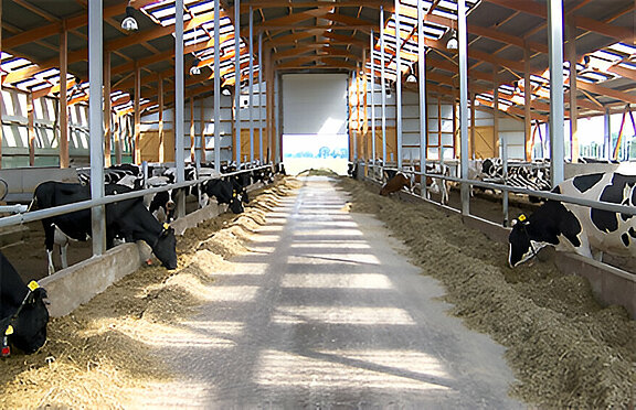 agri-10.jpg  